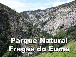 Parque Natural
Fragas do Eume
 
