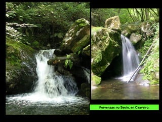 Fervenzas no Sesín, en Caaveiro.
 