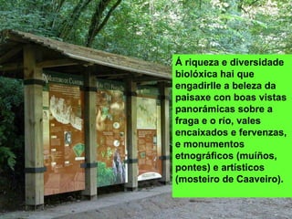 Á riqueza e diversidade
biolóxica hai que
engadirlle a beleza da
paisaxe con boas vistas
panorámicas sobre a
fraga e o río, vales
encaixados e fervenzas,
e monumentos
etnográficos (muíños,
pontes) e artísticos
(mosteiro de Caaveiro).
 