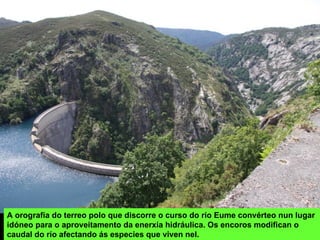 A orografía do terreo polo que discorre o curso do río Eume convérteo nun lugar
idóneo para o aproveitamento da enerxía hidráulica. Os encoros modifican o
caudal do río afectando ás especies que viven nel.
 