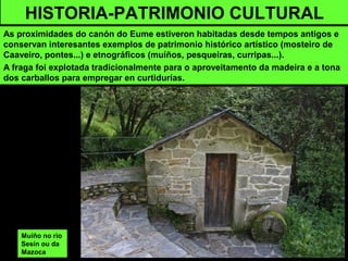 Muíño no río
Sesín ou da
Mazoca
HISTORIA-PATRIMONIO CULTURAL
As proximidades do canón do Eume estiveron habitadas desde tempos antigos e
conservan interesantes exemplos de patrimonio histórico artístico (mosteiro de
Caaveiro, pontes...) e etnográficos (muíños, pesqueiras, curripas...).
A fraga foi explotada tradicionalmente para o aproveitamento da madeira e a tona
dos carballos para empregar en curtidurías.
 