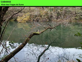 CABANAS
-Ruta das Fragas do Eume
 