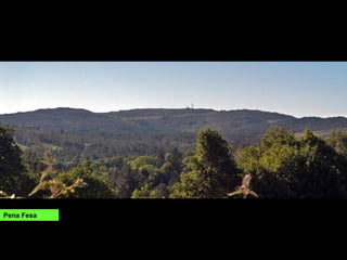 Pena Fesa
 