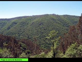 Fraga na serra do Queixeiro
 