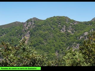 Paredes do canón na serra do Queixeiro
 