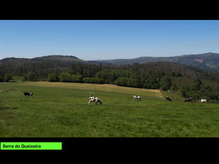 Serra do Queixeiro
 