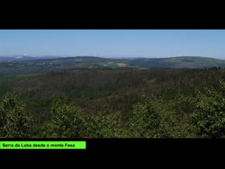 Serra da Loba desde o monte Fesa
 