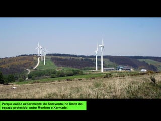 Parque eólico experimental de Sotavento, no límite do
espazo protexido, entre Monfero e Xermade.
 