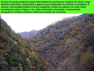 Na área do parque podemos atopar diversidade de ecosistemas: bosques de ribeira, fraga
atlántica caducifolia, monte baixo e algunha zona repoboada con piñeiros e eucaliptos. Á
riqueza e diversidade biolóxica hai que engadirlle a beleza da paisaxe con boas vistas
panorámicas sobre a fraga e o río, vales encaixados e fervenzas, e monumentos
etnográficos (muíños, pontes) e artísticos (mosteiro de Caaveiro).
 