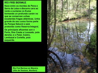 RÍO FREI BERMUZ
Nace entre os montes de Pena e
Serra da Loba e discorre cara ao
norte a xuntarse co Eume
formando un profundo canón no
que se conservan unhas
excelentes fragas atlánticas. Unha
grande do seu curso forma parte
do Parque Natural e está
protexido como Reserva Integral.
Os principais afluentes son o
Porto, Dos Casás e Lousado, pola
dereita; e o Paial, Castro,
Lambazal e Cortella, pola
esquerda.
Río Frei Bermuz en Maceira
(Alto de Xestoso, Monfero)
 