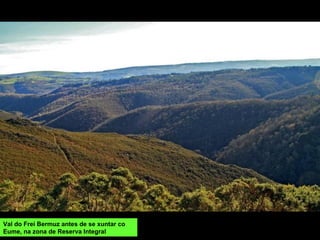 Val do Frei Bermuz antes de se xuntar co
Eume, na zona de Reserva Integral
 