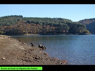Encoro do Eume na Filgueira (As Pontes)
 