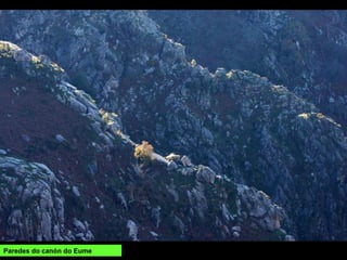 Paredes do canón do Eume
 