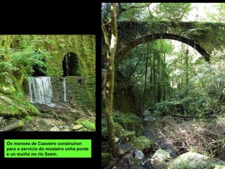 Os monxes de Caaveiro construíron
para o servicio do mosteiro unha ponte
e un muíño no río Sesín.
 