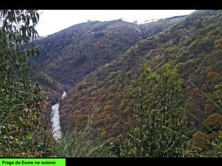 Fraga do Eume no outono
 