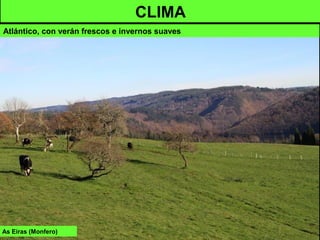As Eiras (Monfero)
CLIMA
Atlántico, con verán frescos e invernos suaves
 