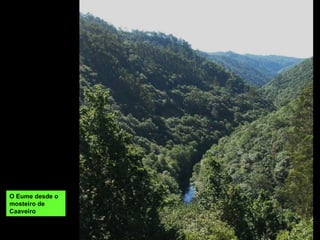 O Eume desde o
mosteiro de
Caaveiro
 