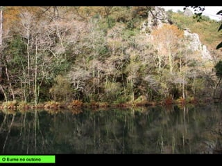 O Eume no outono
 