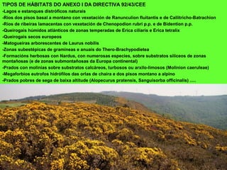 TIPOS DE HÁBITATS DO ANEXO I DA DIRECTIVA 92/43/CEE
-Lagos e estanques distróficos naturais
-Ríos dos pisos basal a montano con vexetación de Ranunculion fluitantis e de Callitricho-Batrachion
-Ríos de ribeiras lamacentas con vexetación de Chenopodion rubri p.p. e de Bidention p.p.
-Queirogais húmidos atlánticos de zonas temperadas de Erica ciliaris e Erica tetralix
-Queirogais secos europeos
-Matogueiras arborescentes de Laurus nobilis
-Zonas subestépicas de gramíneas e anuais do Thero-Brachypodietea
-Formacións herbosas con Nardus, con numerosas especies, sobre substratos silíceos de zonas
montañosas (e de zonas submontañosas da Europa continental)
-Prados con molinias sobre substratos calcáreos, turbosos ou arxilo-limosos (Molinion caeruleae)
-Megaforbios eutrofos hidrófilos das orlas de chaira e dos pisos montano a alpino
-Prados pobres de sega de baixa altitude (Alopecurus pratensis, Sanguisorba officinalis) .....
 