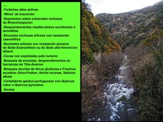 .....
-Turbeiras altas activas
-'Mires' de transición
-Depresións sobre substratos turbosos
do Rhynchosporion
-Desprendementos mediterráneos occidentais e
termófilos
-Encostas rochosas silíceas con vexetación
casmofítica
-Rochedos silíceos con vexetación pioneira
do Sedo-Scleranthion ou do Sedo albi-Veronicion
dillenii
-Covas non explotadas polo turismo
-Bosques de encostas, desprendementos ou
barrancos do Tilio-Acerion
-Bosques aluviais de Alnus glutinosa e Fraxinus
excelsior (Alno-Padion, Alnion incanae, Salicion
albae)
-Carballeiras galaico-portugueses con Quercus
robur e Quercus pyrenaica
-Soutos
 