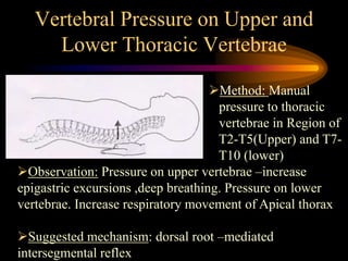 Vertebral Pressure on Upper and
Lower Thoracic Vertebrae
Method: Manual
pressure to thoracic
vertebrae in Region of
T2-T5(Upper) and T7-
T10 (lower)
Observation: Pressure on upper vertebrae –increase
epigastric excursions ,deep breathing. Pressure on lower
vertebrae. Increase respiratory movement of Apical thorax
Suggested mechanism: dorsal root –mediated
intersegmental reflex
 