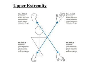 Upper Extremity
 