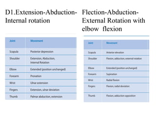 D1.Extension-Abduction-
Internal rotation
Flection-Abduction-
External Rotation with
elbow flexion
 