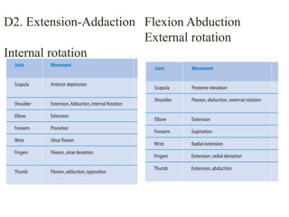 D2. Extension-Addaction
Internal rotation
Flexion Abduction
External rotation
 