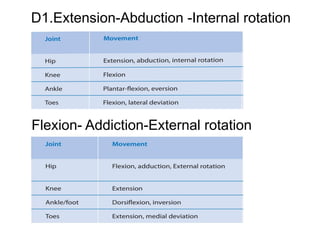 Flexion- Addiction-External rotation
D1.Extension-Abduction -Internal rotation
 