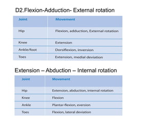 Extension – Abduction – Internal rotation
D2.Flexion-Adduction- External rotation
 