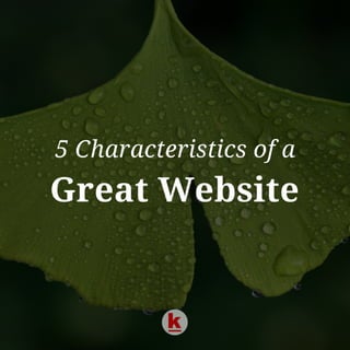 Characteristics of an Ideal Website