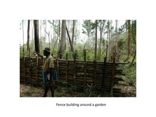Fence building around a garden
 