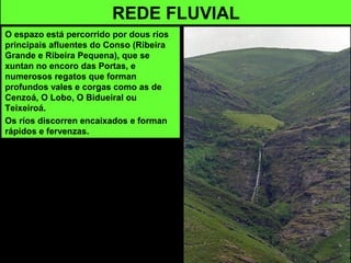 REDE FLUVIAL
O espazo está percorrido por dous ríos
principais afluentes do Conso (Ribeira
Grande e Ribeira Pequena), que se
xuntan no encoro das Portas, e
numerosos regatos que forman
profundos vales e corgas como as de
Cenzoá, O Lobo, O Bidueiral ou
Teixeiroá.
Os ríos discorren encaixados e forman
rápidos e fervenzas.
 
