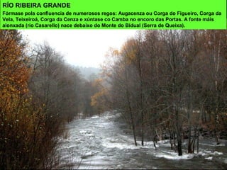 RÍO RIBEIRA GRANDE
Fórmase pola confluencia de numerosos regos: Augacenza ou Corga do Figueiro, Corga da
Vela, Teixeiroá, Corga da Cenza e xúntase co Camba no encoro das Portas. A fonte máis
alonxada (río Casarello) nace debaixo do Monte do Bidual (Serra de Queixa).
 