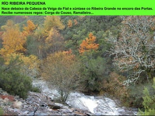 RÍO RIBEIRA PEQUENA
Nace debaixo da Cabeza da Veiga do Fial e xúntase co Ribeira Grande no encoro das Portas.
Recibe numerosos regos: Corga do Couso, Ramalleiro...
 