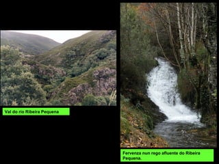 Val do río Ribeira Pequena
Fervenza nun rego afluente do Ribeira
Pequena.
 