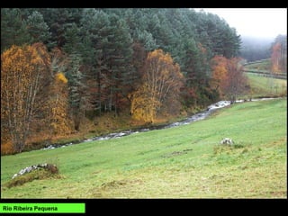 Río Ribeira Pequena
 