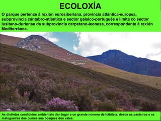 O parque pertence á rexión eurosiberiana, provincia atlántica-europea,
subprovincia cántabro-atlántica e sector galaico-portugués e limita co sector
lusitano-duriense da subprovincia carpetano-leonesa, correspondente á rexión
Mediterránea.
ECOLOXÍA
As distintas condicións ambientais dan lugar a un grande número de hábitats, desde os pasteiros e as
matogueiras dos cumes aos bosques dos vales.
 