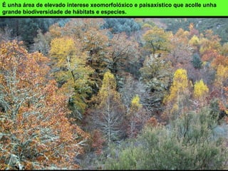 É unha área de elevado interese xeomorfolóxico e paisaxístico que acolle unha
grande biodiversidade de hábitats e especies.
 