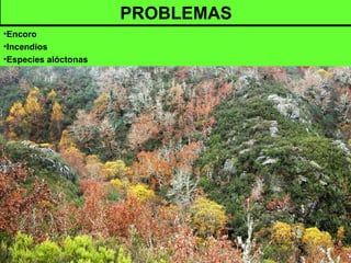 PROBLEMAS
•Encoro
•Incendios
•Especies alóctonas
 