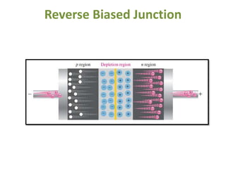 Reverse Biased Junction
 