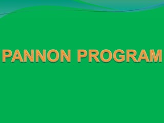 Pannon Program