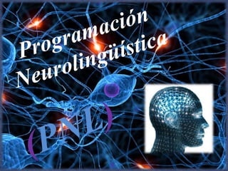 Programación Neurolingüística  (PNL) 