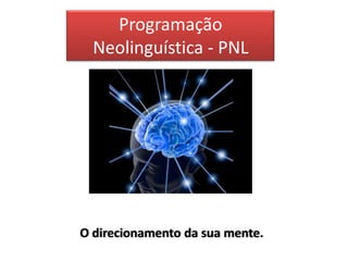 Programação
  Neolinguística - PNL




O direcionamento da sua mente.
 