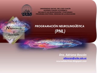 PROGRAMACIÓN NEUROLINGÜÍSTICA
(PNL)
UNIVERSIDAD RAFAEL BELLOSO CHACÍN
VICERRECTORADO ACADÉMICO
DECANATO DE INVESTIGACIÓN Y POSTGRADO
PROGRAMA DOCTORAL CIENCIAS DE LA EDUCACIÓN
Dra. Adriana Boscán
aiboscan@urbe.edu.ve
neurodidacticas.blogspot.com
Neurociencia
y
Educación
 