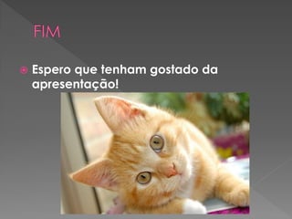  Espero que tenham gostado da
apresentação!
 
