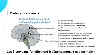 LESCERVEAUX
Parler aux cerveaux
12
10
Le premier stade de notre évolution
Il gère notre relation au danger.
Il répond à la question « Etes vous une menace? »
Le cerveau rationnel.
Le dernier stade de notre évolution.
Propre à l’être humain. Il résout des
problèmes complexes et effectue des
raisonnements.
Cerveau mammalien. Propre aux mammifères.
Lié aux relations sociales et aux émotions.
Il est stimulé par la récompense qu’il va obtenir.
Les 3 cerveaux fonctionnent indépendamment et ensemble
 
