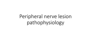 Peripheral nerve lesion
pathophysiology
 