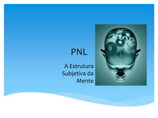 PNL
 A Estrutura
Subjetiva da
      Mente
 