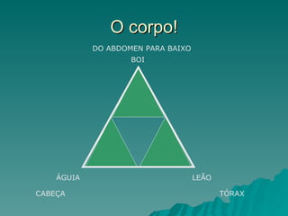 O corpo! BOI ÁGUIA LEÃO CABEÇA DO ABDOMEN PARA BAIXO TÓRAX 